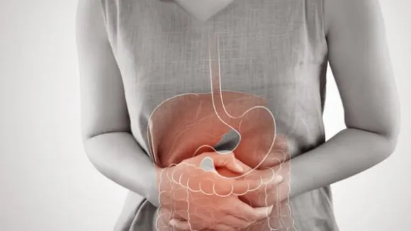 ಈ ಆಹಾರಗಳಿಂದ ನೀವು ದೂರ ಉಳಿಯಿರಿ; ಪಿತ್ತಕೋಶದಲ್ಲಿ ಕಲ್ಲು ಸೃಷ್ಟಿಯಾಗುವುದನ್ನು ತಡೆಯಿರಿ