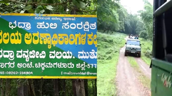 ಭದ್ರ ಹುಲಿ ಸಂರಕ್ಷಿತ ಅರಣ್ಯದಿಂದ ಗ್ರಾಮಗಳಿಗೆ ನುಗ್ಗುತ್ತಿವೆ ವನ್ಯಮೃಗಗಳು! ಸಫಾರಿ ವಿರುದ್ಧ ಸಿಡಿದೆದ್ದ ಸ್ಥಳೀಯರು!