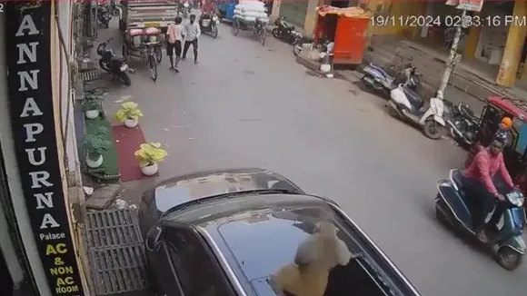 VIDEO: ಕೋತಿ ಚೇಷ್ಟೆಗೆ ಐಷಾರಾಮಿ ಕಾರ್​ನ ಸನ್​ರೂಫ್ ಪೀಸ್ ಪೀಸ್; ಆಮೇಲೇನಾಯ್ತು?