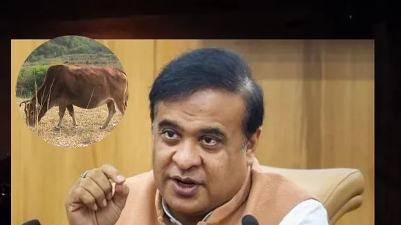 ಅಸ್ಸಾಂನಲ್ಲಿ ಗೋಮಾಂಸ ಸೇವನೆ ನಿಷೇಧ; ಸಿಎಂ ಹಿಮಂತ್ ಬಿಸ್ವಾರಿಂದ ನೂತನ ಕಾಯ್ದೆ
