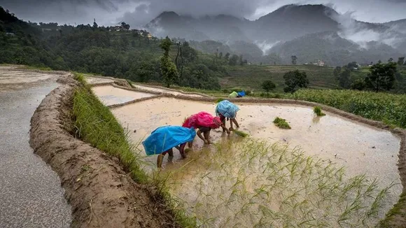 Budget 2025: ಈ ಬಾರಿ ರೈತರಿಗೆ ಗುಡ್‌ ನ್ಯೂಸ್ ಕೊಡ್ತಾರಾ ನಿರ್ಮಲಾ ಸೀತಾರಾಮನ್? ನಿರೀಕ್ಷೆಗಳ ಪಟ್ಟಿ ಇಲ್ಲಿದೆ!