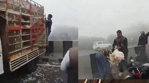 ಕೈಗೆ ಸಿಕ್ಕಿದ್ದೇ ಸೀರುಂಡೆ.. ಹೆದ್ದಾರಿಯಲ್ಲಿ ಕೋಳಿ ಲೂಟಿ ಹೊಡೆದು ಜೂಟ್ ಹೇಳಿದ ಜನರು; ವಿಡಿಯೋ ಇಲ್ಲಿದೆ ನೋಡಿ!