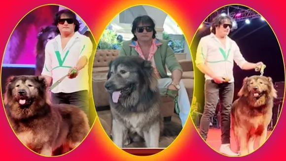 50 ಕೋಟಿ ರೂಪಾಯಿ ನಾಯಿ ಮಾಲೀಕನಿಗೆ ಬಿಗ್ ಶಾಕ್​.. ಲಾಕ್ ಮಾಡಿದ ED; ಅಸಲಿಗೆ ಏನಾಯಿತು?