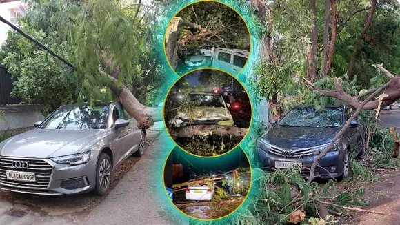 Video- ಭೀಕರ ಗಾಳಿ, ಮಳೆ; ಬೈಕ್​, ಕಾರುಗಳ ಮೇಲೆ ಬಿದ್ದ ಮರಗಳು.. ಜೀವ ಕಳೆದುಕೊಂಡ 5 ಜನ