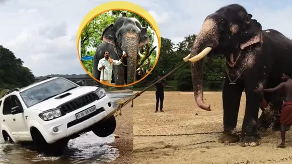 ನದಿಯಲ್ಲಿ ಸಿಕ್ಕಿಕೊಂಡ ಟೊಯೋಟೊ ಫಾರ್ಚುನರ್ ಕಾರು.. ಕ್ಷಣದಲ್ಲೇ ಎಳೆದುಕೊಟ್ಟ ಆನೆ -Video