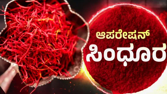 ಕಾಶ್ಮೀರ ಕೇಸರಿ ಈಗ ಸಿಕ್ಕಾಪಟ್ಟೆ ದುಬಾರಿ; 1 KG ಸಫ್ರಾನ್​ ಲಕ್ಷ ಲಕ್ಷ ರೂಪಾಯಿ