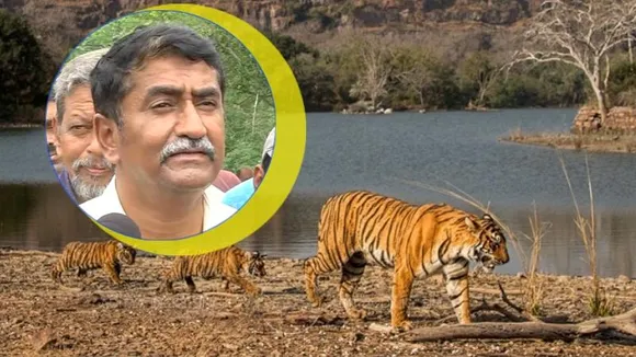 ಮಲೆ ಮಹದೇಶ್ವರ ಬೆಟ್ಟದಲ್ಲಿ 5 ಹುಲಿಗಳ ಅಂತ್ಯ ಕೇಸ್​; ಆಘಾತಕಾರಿ ಮಾಹಿತಿ ಬಿಚ್ಚಿಟ್ಟ CCF ಹೀರಾಲಾಲ್