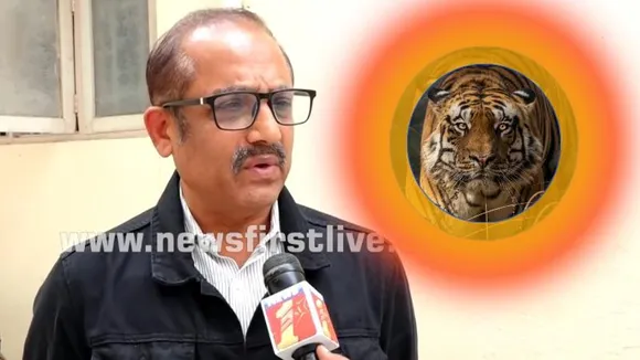 ಹುಲಿಗಳ ಜೀವ ತೆಗೆದ್ರೆ ಎಷ್ಟು ವರ್ಷ ಜೈಲು ಶಿಕ್ಷೆ, ದಂಡ.. ನಿವೃತ್ತ ಅರಣ್ಯ ಅಧಿಕಾರಿ ಪೂವಯ್ಯ ಏನಂದ್ರು?