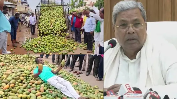 ಕರ್ನಾಟಕ ತೋತಾಪುರಿ ಮಾವಿಗೆ ನಿರ್ಬಂಧ; ಆಂಧ್ರ ಸಿಎಂ ಚಂದ್ರಬಾಬು ನಾಯ್ಡುಗೆ ಸಿದ್ದರಾಮಯ್ಯ ಪತ್ರ