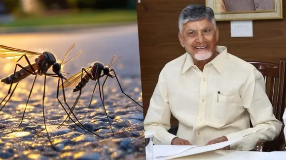 ಇನ್ಮುಂದೆ ಸೊಳ್ಳೆಗಳ ಕಾಟ ಇರಲ್ಲ! ಆಂಧ್ರದಲ್ಲಿ ಸೊಳ್ಳೆಗಳ ಮೇಲೆ ನಿಗಾ ಇಡಲು AI ಬಳಕೆ..!