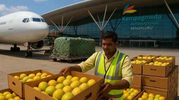KIA Mango Export