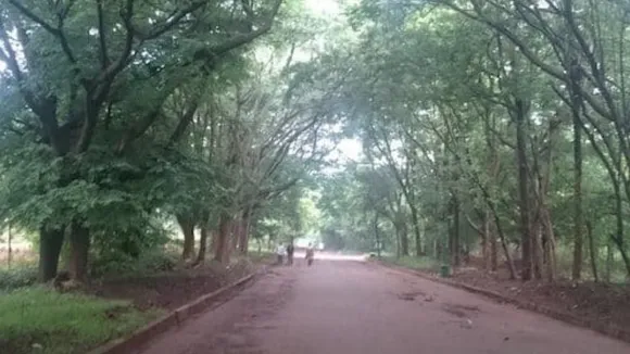 GKVK CAMPUS-KR FLOWER MARKET SHIFT