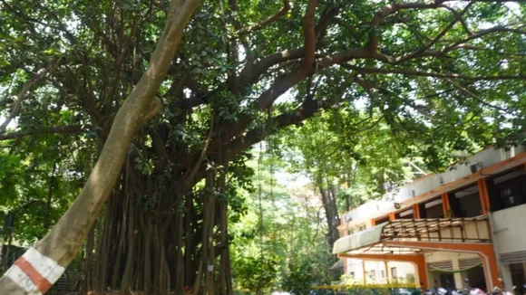 Cantonment biodiversity site