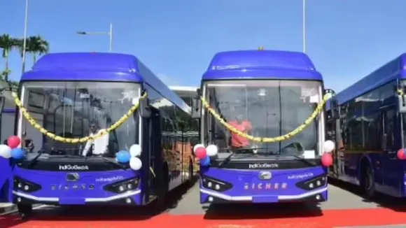 Indigo buses