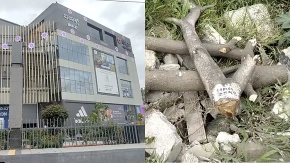 inox mall cuts trees