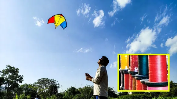 manjwa wire kite flying birds injury