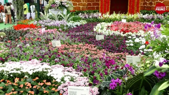 independence-day-lalbagh-flower-show-2025-3-1-2025-08-08-15-00-09