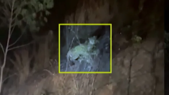 LEOPARD SPOTTED ON ROUTE NEAR NANDI HILLS