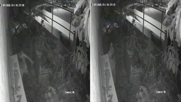 bengaluru puppy story