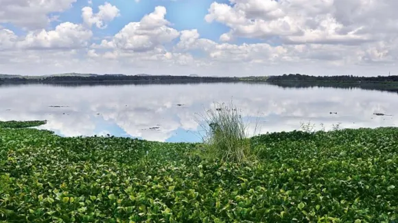 byramangala-lake-bengaluru-2025-12-18-10-23-23 (1)