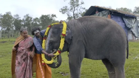 ‘Elephant Whisperers’ makers served legal notice by mahout couple for not keeping up promises 