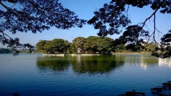 Bengaluru: With sewage seepage into lakes, online petition planned for rejuvenation