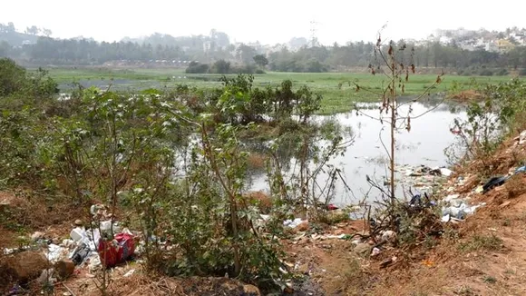 Bengaluru: Citizens express concern over burning of medical waste near Hosakerehalli Lake