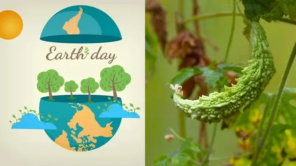 World Earth Day 2024: Nurturing Nature with natural farming