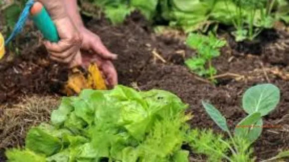 How being green-fingered can make you a better human being! 