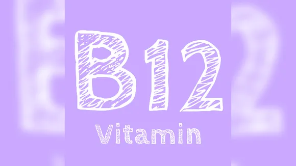 Top 10 vegetarian sources of vitamin B12 to support nerve function, DNA synthesis, and RBC formation