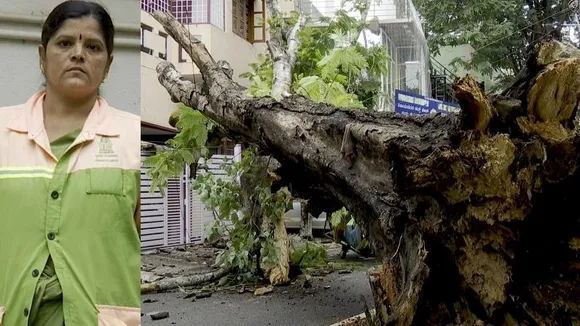 Bengaluru: Pouramkarmika worker saved by a whisker as tree falls onto road