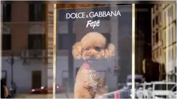 Dolce & Gabbana unveils 'Fefe,' alcohol-free perfume for dogs at Rs 9,000