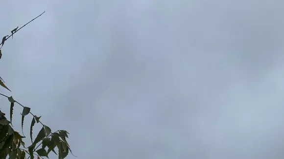 Bengaluru braces for colder winter amid changing weather patterns