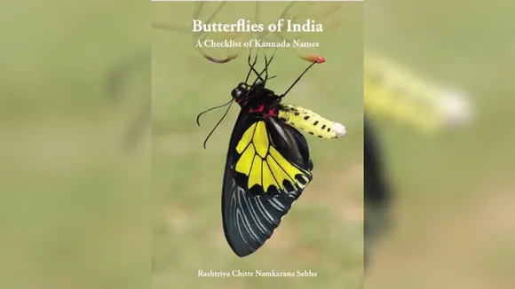 Butterfly boom in Bengaluru: New species and renewed conservation efforts