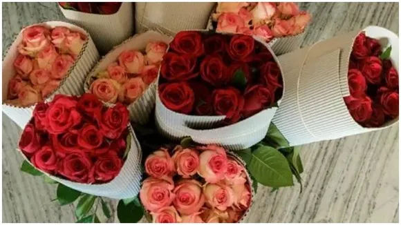 Bengaluru’s rose exports surge ahead of Valentine’s week