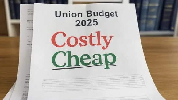 Union Budget 2025: What is cheaper, what is costlier?