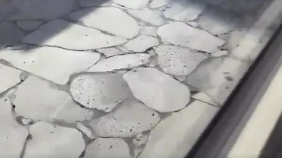 'Shame': Kiran Mazumdar-Shaw criticizes Bengaluru’s roads, compares them to Ecuador's