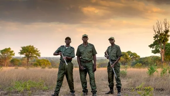 Customs crack down on wildlife smuggling at Bengaluru airport 