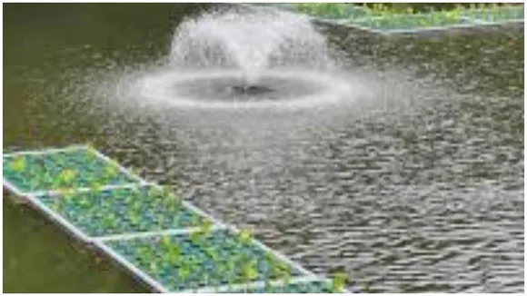 Floating gardens set to bloom in Bengaluru’s Lalbagh, inspired by Srinagar’s Dal lake