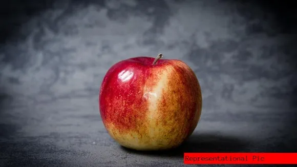 Operation Sindoor: India boycotts Turkish apples inflicting an unbearable economic loss of Rs 1,500 Cr