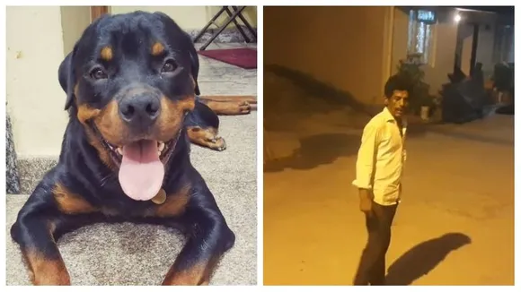 Bengaluru: Owner attacked after dog barks at stranger; FIR Filed in Sheshadripuram