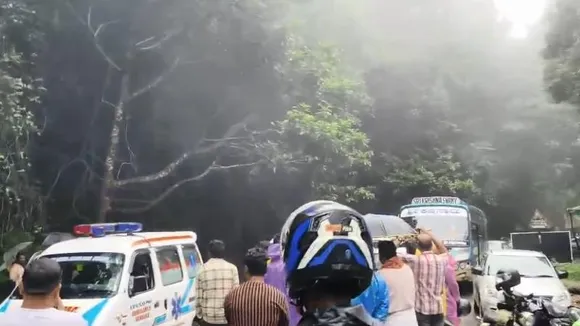 Karnataka: Tree fall in Agumbe Ghat causes massive traffic jam, ambulances stuck