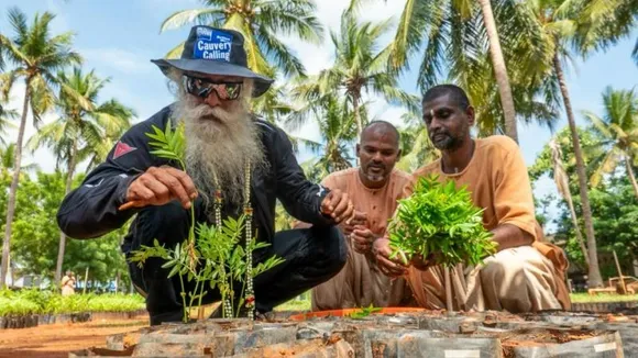 1.36 cr saplings planted in 2024–25 under Cauvery Calling, total reaches 12.2 cr