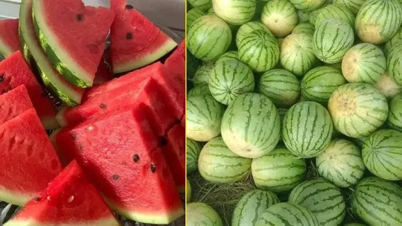 Watermelon on an empty stomach: A morning health booster, say experts