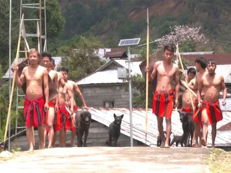 Manipur’s indigenous Haofa dog breed (Photo/ANI)