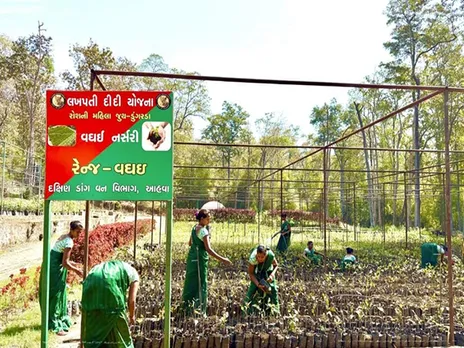 Women from SHGs working on nursery raising and plantation in Gujarat’s South Dang. (Photo/ANI)