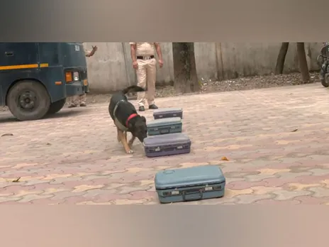 Special training of Delhi Police Dogs squad ahead Independence Day (Photo/ANI)