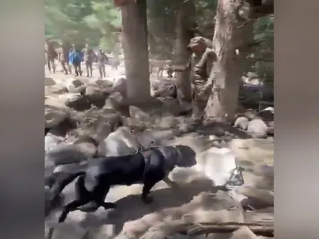 Specialised Indian Army canine teams in action (Photo: Indian Army)