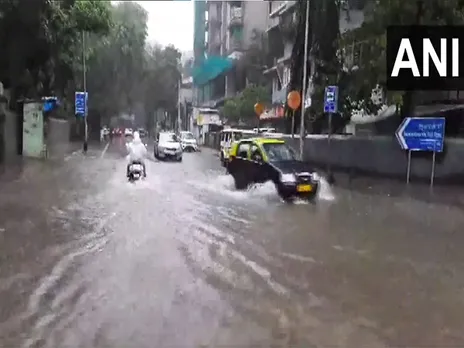 Visuals from Gandhi Market Sion after the rainfall (Photo/ANI)