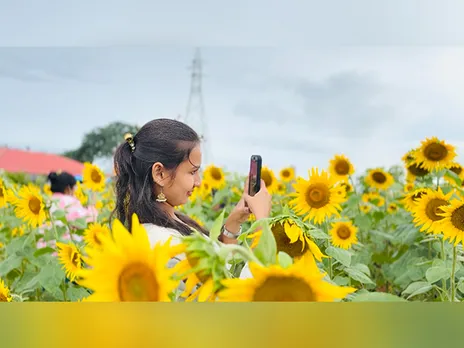 Flower fields of Gunglupet in Karnataka (Photo/ANI)